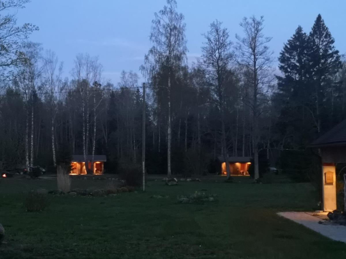 Brivdienu Maja "Raudini" Kaltene Zewnętrze zdjęcie
