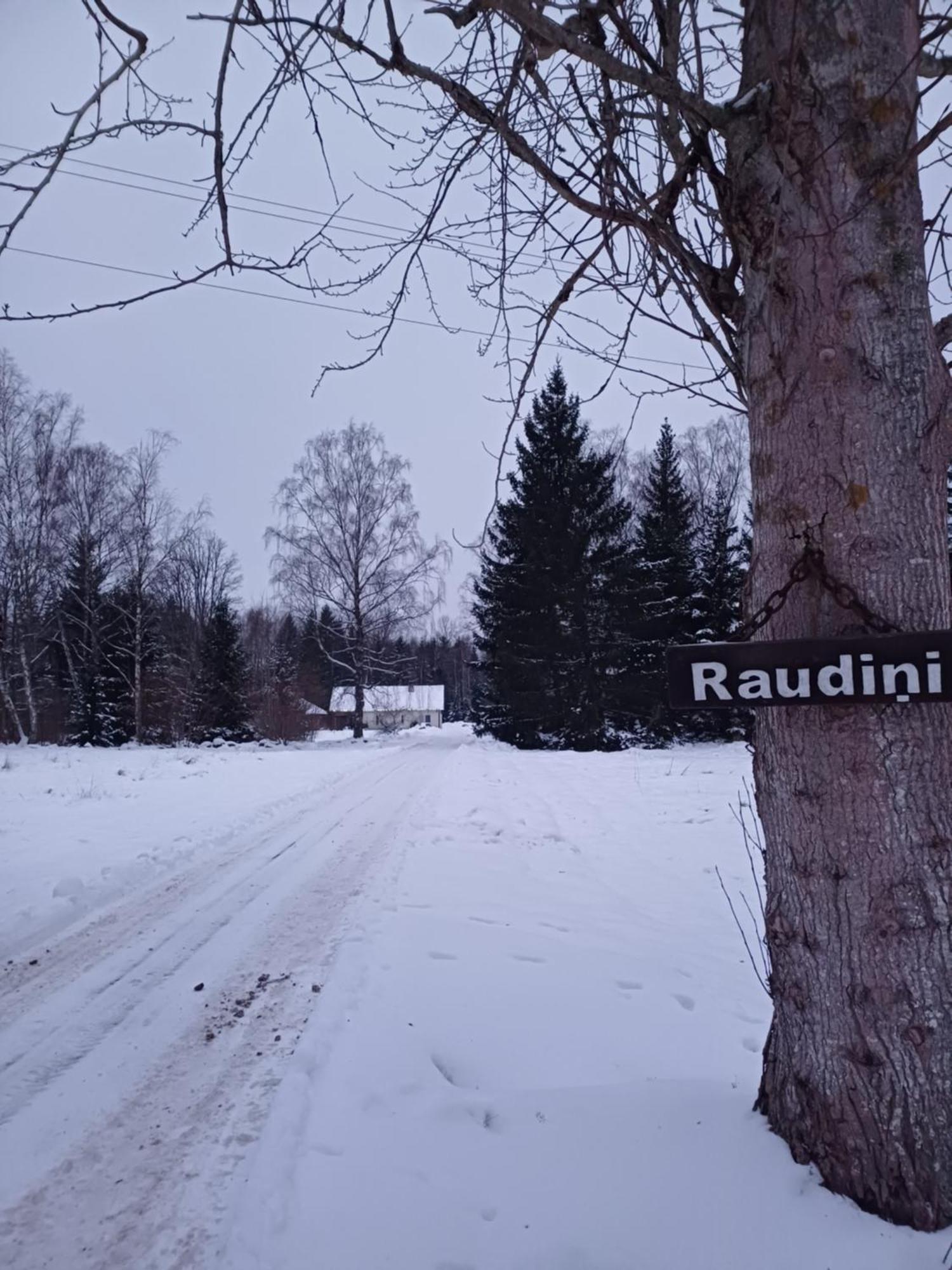 Brivdienu Maja "Raudini" Kaltene Zewnętrze zdjęcie